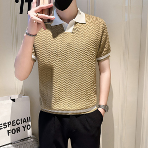 A135-6131 男士PL领春夏秋针织短袖 冰丝短袖 P55控78图片
