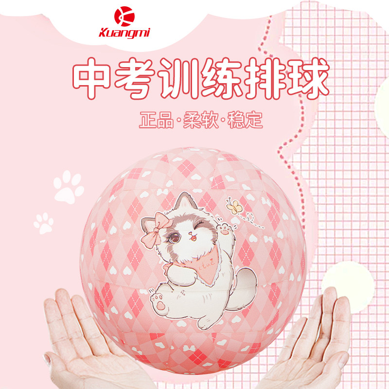 狂迷萌宠猫粉色排球5号中考学生专用刻字生日礼物青少年软皮硬排