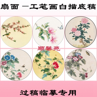 N105团扇圆形扇面花鸟工笔画白描底稿线描画稿牵牛花月季桃花扶桑