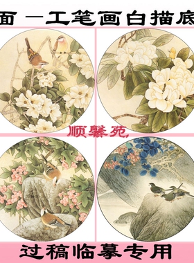 花鸟团扇圆形扇面工笔画白描