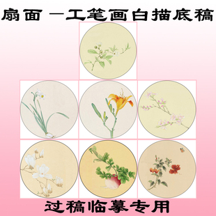 N50团扇花鸟圆形扇面工笔画白描底稿玉兰萝卜扶桑水仙黄花菜桃花