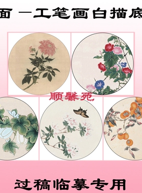 N91团扇圆形花鸟扇面工笔画白描底稿瓜瓞绵绵茶花大丽菊杜鹃柿子
