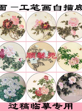 M7圆形扇面牡丹图案团扇工笔画白描底稿适合临摹过稿勾线富贵常在