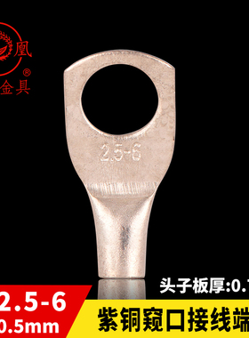 正品凤凰船用窥口铜接头DTGA 铜鼻子SC2.5-6接线端子 含专票 一只