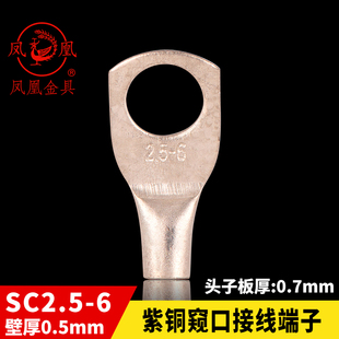 正品凤凰船用窥口铜接头DTGA 铜鼻子SC2.5-6接线端子 含专票 一只