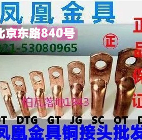 正品凤凰 DTG-16平方 接线鼻 铜鼻子 接线端 铜线耳  一只价