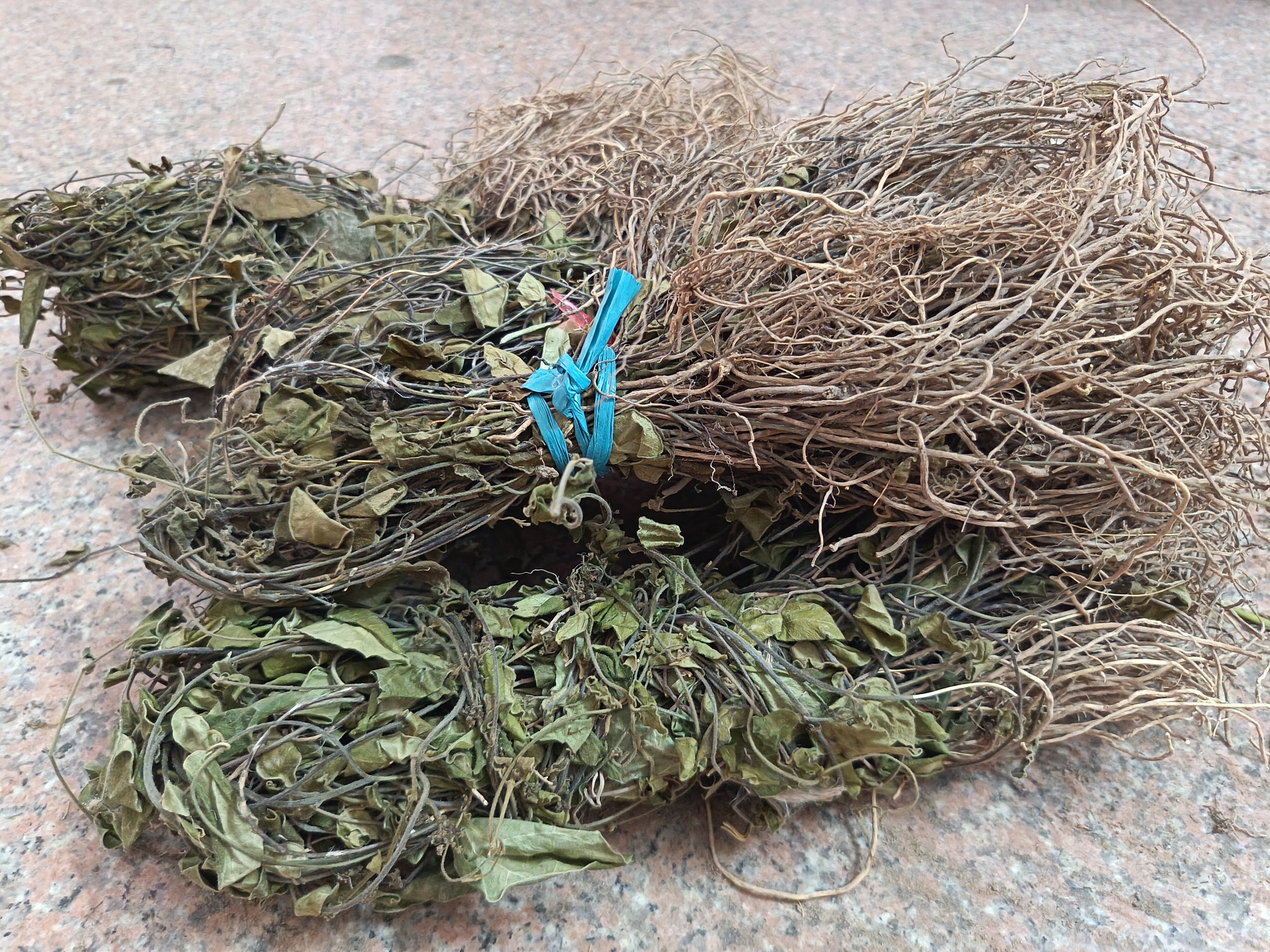 纯正野生中草药卵叶娃儿藤双飞蝴蝶三十六荡老君须 小叶娃儿藤1斤
