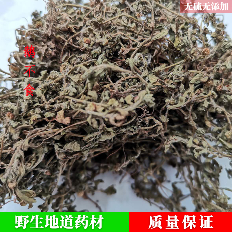 天然药用鹅不食草