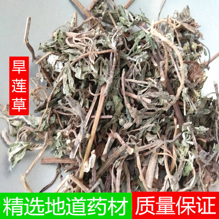天然野生旱莲草/墨旱莲/莲子草/旱莲草/黑墨草/黑头草/跳鱼草包邮