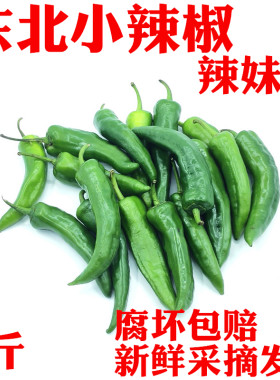 小辣椒黑龙江新鲜蔬菜特产
