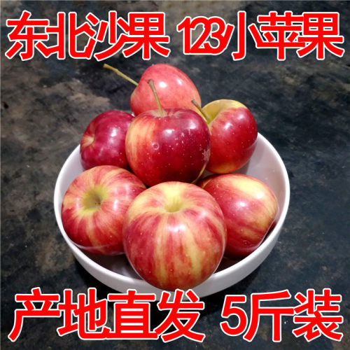 东北沙果小苹果新鲜123果