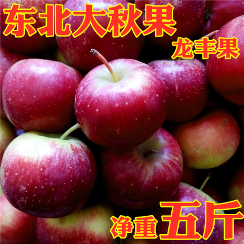 东北龙丰果龙秋果大秋果酸甜