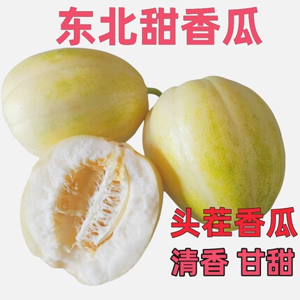 东北香瓜包邮新鲜京蜜白糖罐甜大地香瓜现摘农家特产甜脆孕妇水果