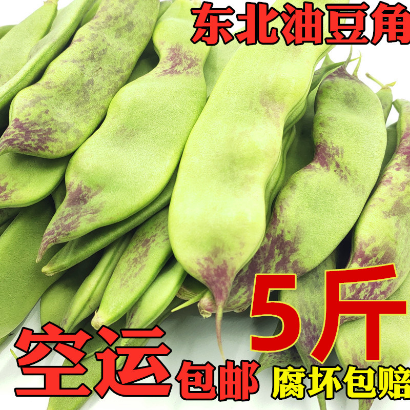 东北油豆角新鲜一点红特产