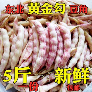 东北特产油豆角黄金勾钩黄豆角沟挤豆八月忙新鲜蔬菜黄金钩豆角