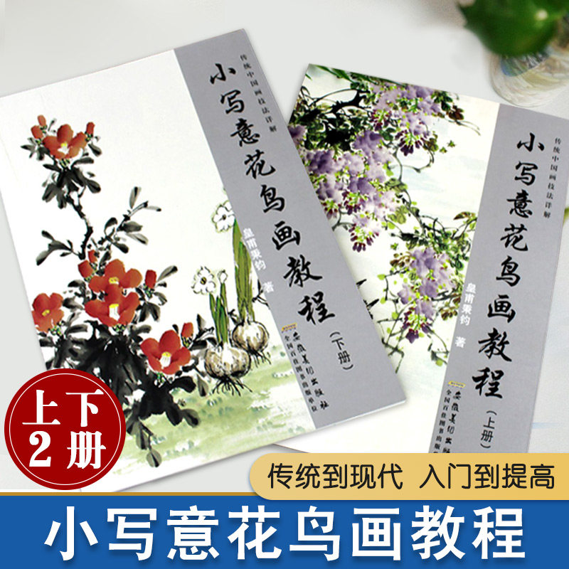 【13年老店】小写意花鸟画教程上下册全2本 传统中国水墨画技法详解