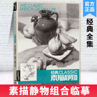 【正版书籍】经典全集素描静物组合临摹 美术基础技法结构到位绘画册照片风暴高艺联考主导陈敲平陶罐门砖教学 大八开范本 杨建飞