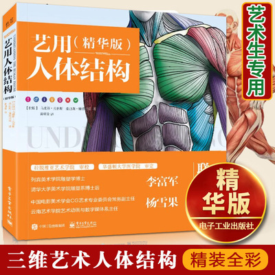 黄朝贵哥艺用人体结构解剖