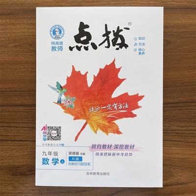 点拨九年级上册数学人教版