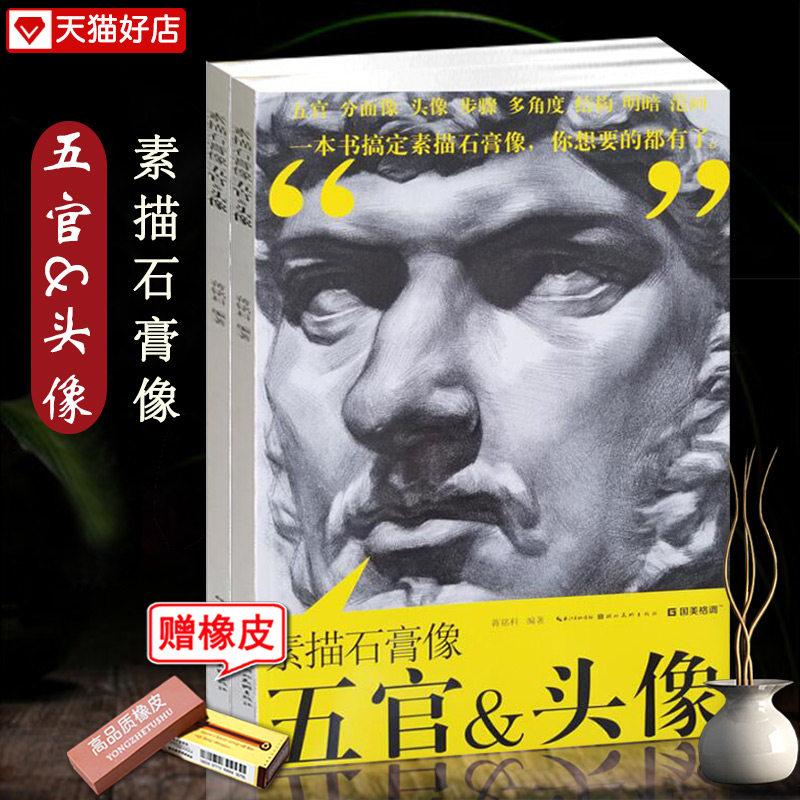 素描石膏像五官头像蒋铭科著五官写生步骤分面像表现绘画技法结构范画