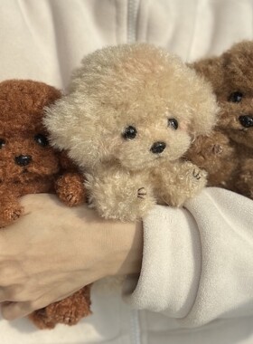 熊蜜柑原创宠物 茶杯泰迪狗 贵宾犬 玩具玩偶五关节材料包DIY手工