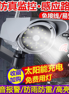 语音仿真太阳能摄像头假监控模型