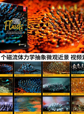 4K视频素材-100个磁流体力学抽象微观近景特写动画 Ferro Fluids