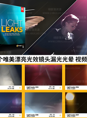 4K视频素材-50个唯美漂亮光效镜头漏光光晕效果动画 Light Leaks