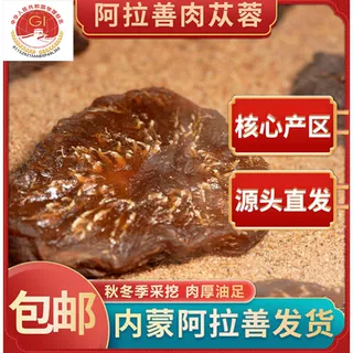 正宗阿拉善荒漠肉苁蓉特级油性足切片料煲汤泡酒泡水中药材滋补野