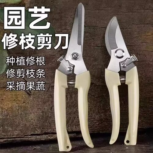 家用盆栽修枝剪全套园艺剪园林绿化弯头花园摘果剪弹簧手动工具剪