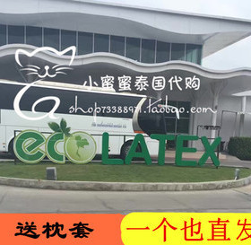 泰国普吉岛ECO LATEX CION 2二代乳胶枕头