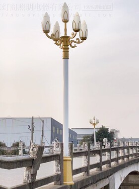 玉兰灯路灯中华灯户外5米6米8米景观高杆广场庭院园林市政道路灯