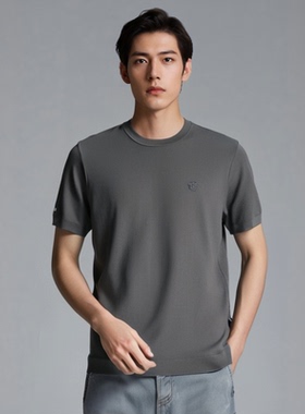 D251031B65爱登堡新款春季新商务基本版短袖针织衫羊毛衫