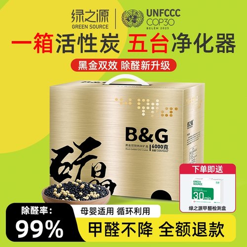 绿之源去味新房吸附吸甲醛竹炭包