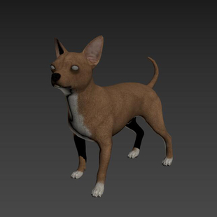 次时代吉娃娃宠物狗家犬3D图纸(3DMAX格式)