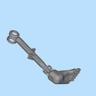 仿生脚丫子模型图01200601图纸（STEP/SLDASM文件格式）