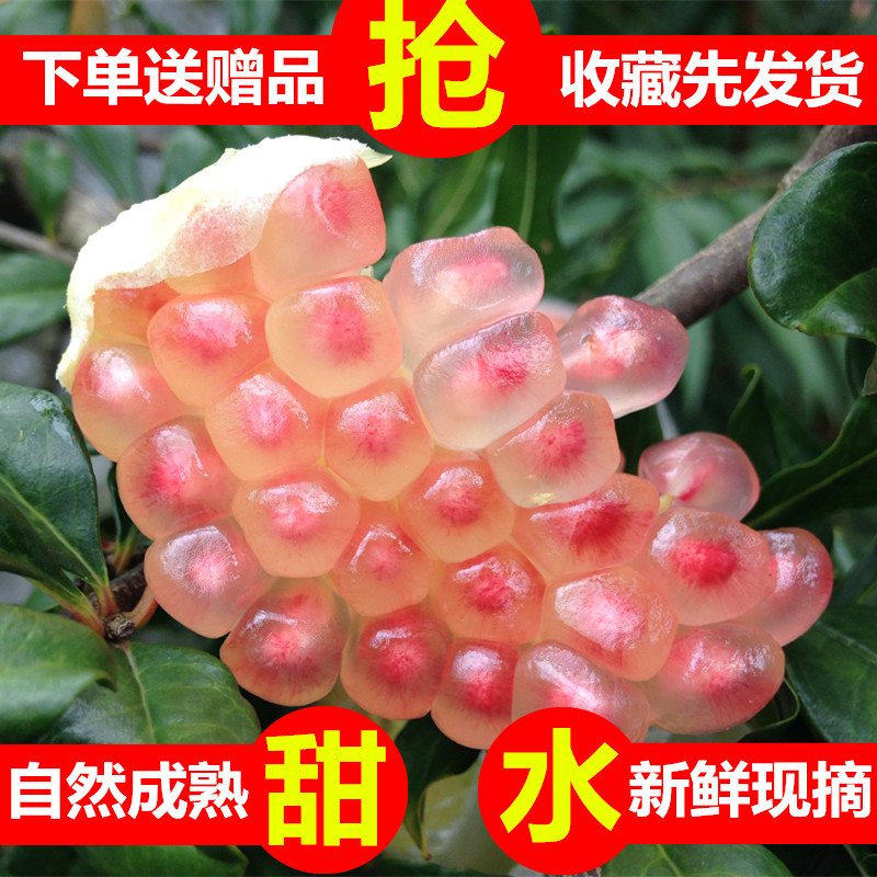 蒙自石榴甜石榴正宗绿籽子