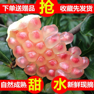 云南蒙自石榴新鲜水果皮薄多汁水分多颗粒大甜度够老品种中秋送礼