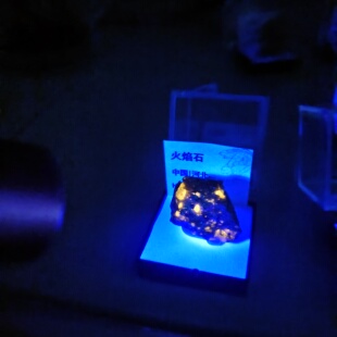 天然荧光矿物火焰石随型方钠石矿物晶原矿石科普猫矿奇石教学标本