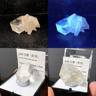 透石膏天然荧光矿物晶体标本盒子猫矿石能量石晶宝石地质科普教学