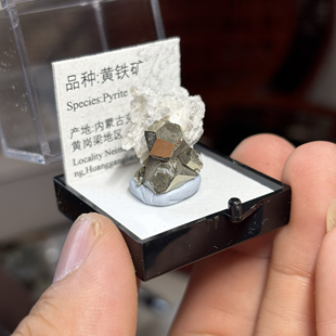 黄铁矿菱铁矿毒砂黄岗梁天然矿物晶体标本盒子矿猫矿石原石宝石能