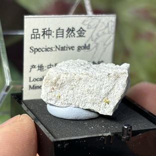 自然金原石天然矿物晶体标本盒子猫矿石能量石晶宝石地质科普教学