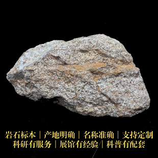 构造角砾岩变质岩石三大岩样品标本矿物科研地质中小学博物馆科普