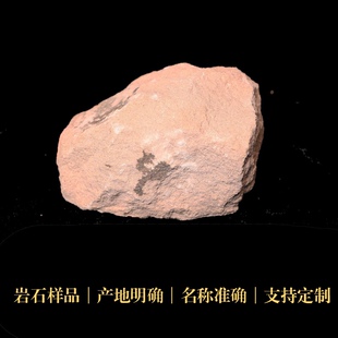 砂岩沉积岩石三大岩样品标本矿物科研地质中小学博物馆科普教具