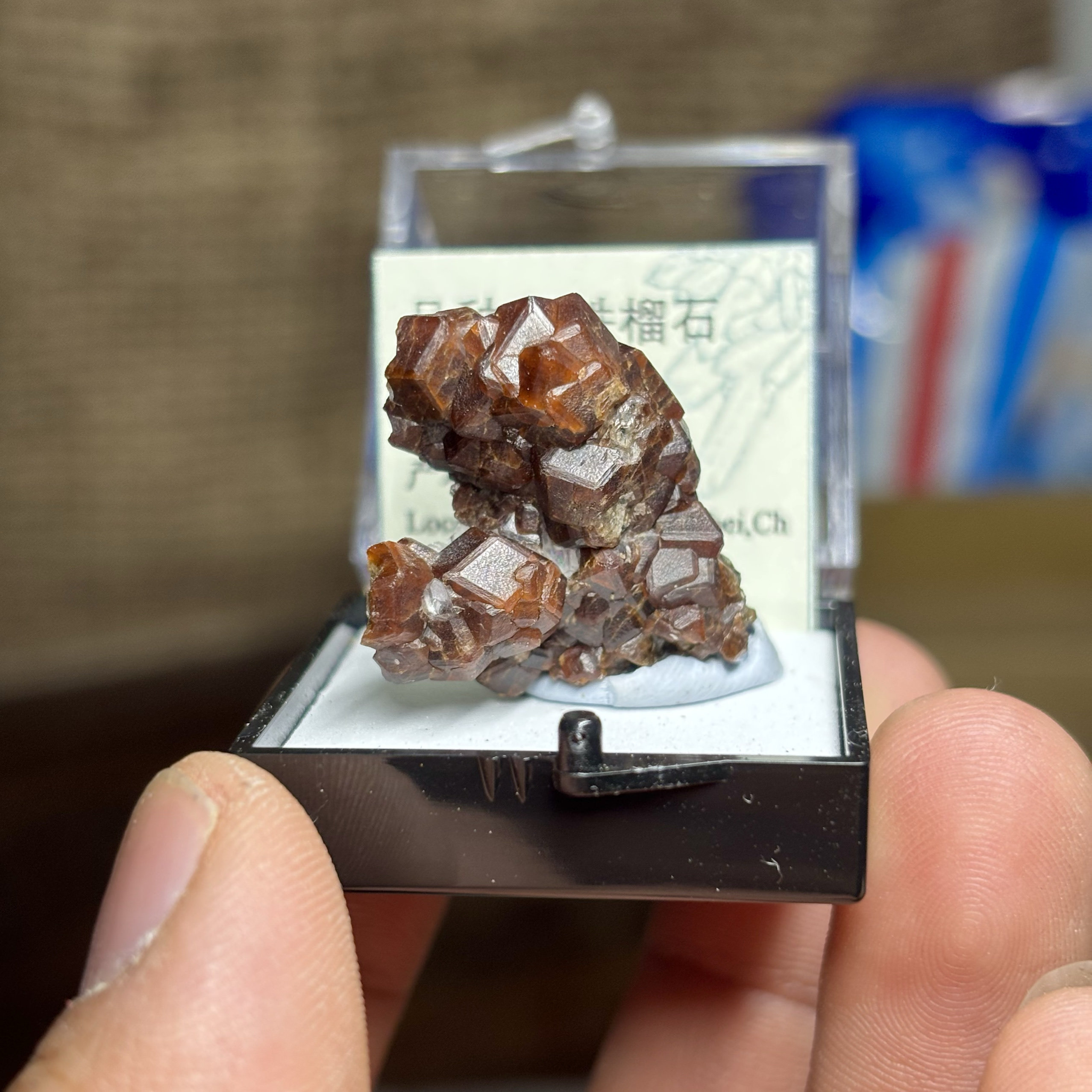 钙铁榴石簇天然矿物晶体标本盒子矿猫矿石原石宝石能量石晶石教学