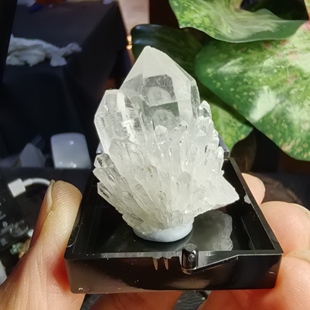 天然白水晶菠萝骨干水晶然矿物晶体标本盒子量晶宝石地质科普教学