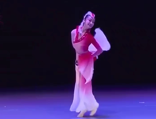 古典舞演出服桃李杯剧目俏灵狐同款舞蹈服扇子舞 表演练习艺考服