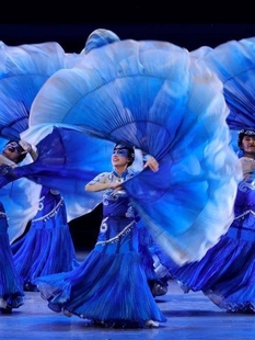 云水伊人舞蹈服装彝族舞蹈服民族舞蹈大摆裙女子艺考演出服群舞