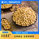 东北黄豆打豆浆专用大豆农家自种非转基因发豆芽豆粒新货1斤批发