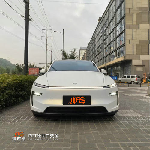 漫可斯PET哑面白变金杭州批发